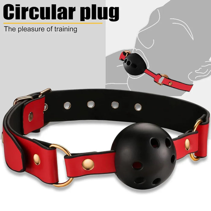 ball gag