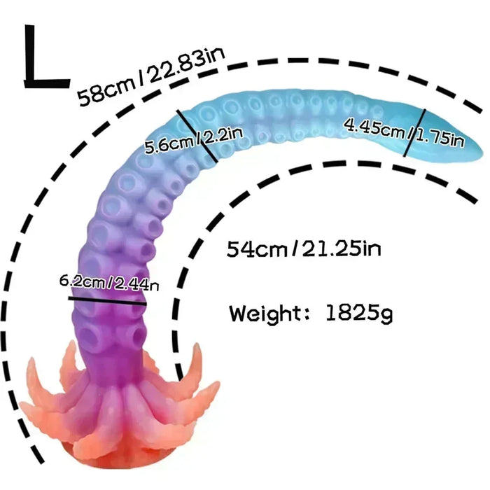 L-22.83 Inches