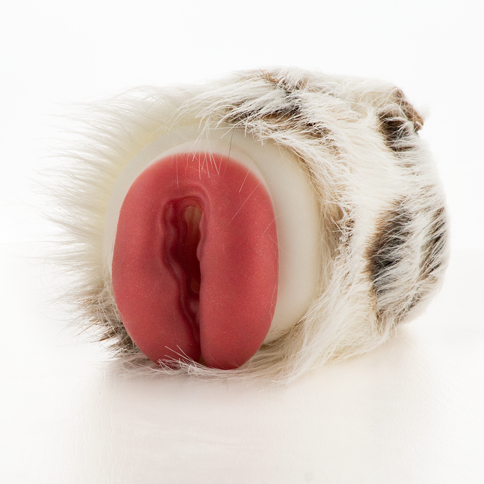 masturbation cup